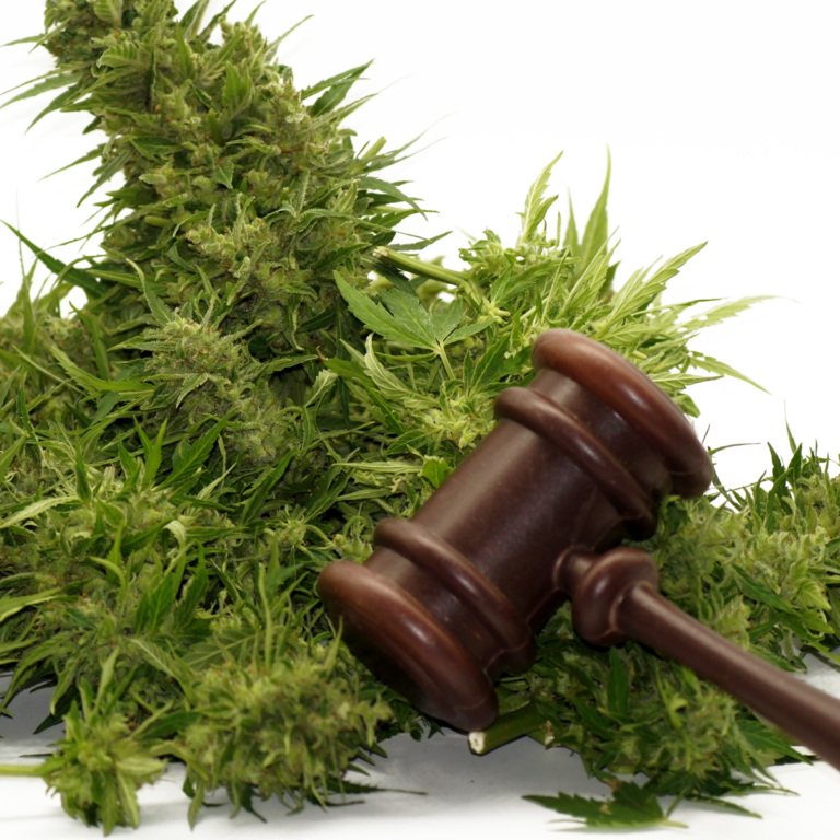 Changes Coming To Texas Hemp