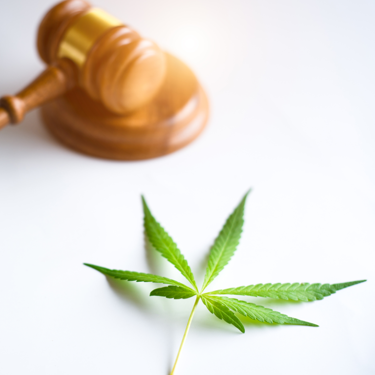 An Important Update on Hemp in Texas